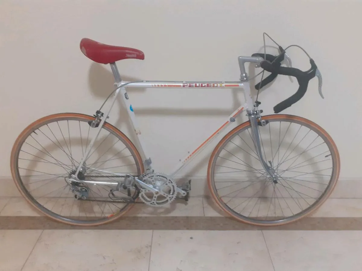 Peugeot racer - Image 1