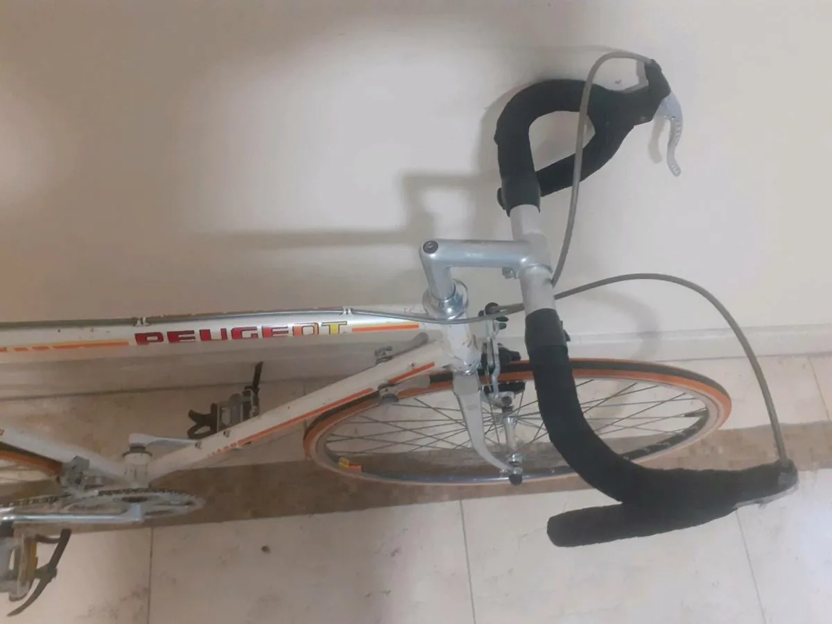 Peugeot racer - Image 2