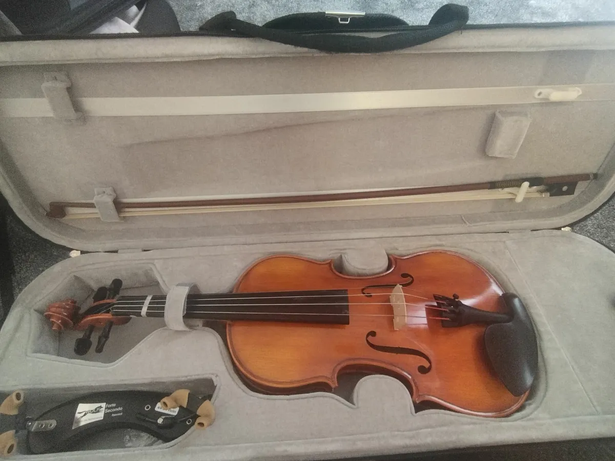 4/4 VIOLIN - Image 1