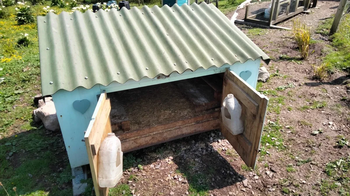 Poultry house & Run 🐓🍳 - Image 2