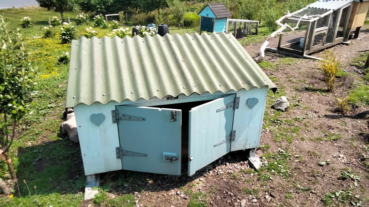 Poultry house & Run 🐓🍳 - Image 4