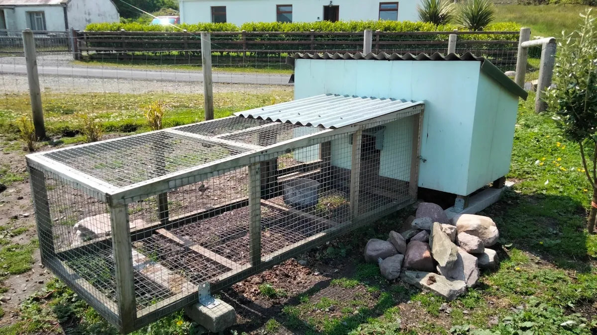 Poultry house & Run 🐓🍳 - Image 1