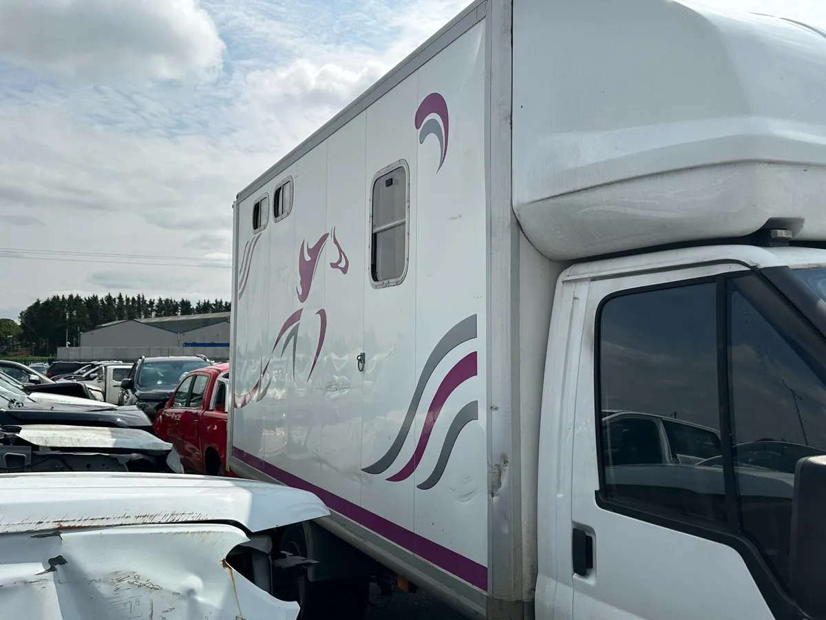 Ford transit horse box body only - Image 2