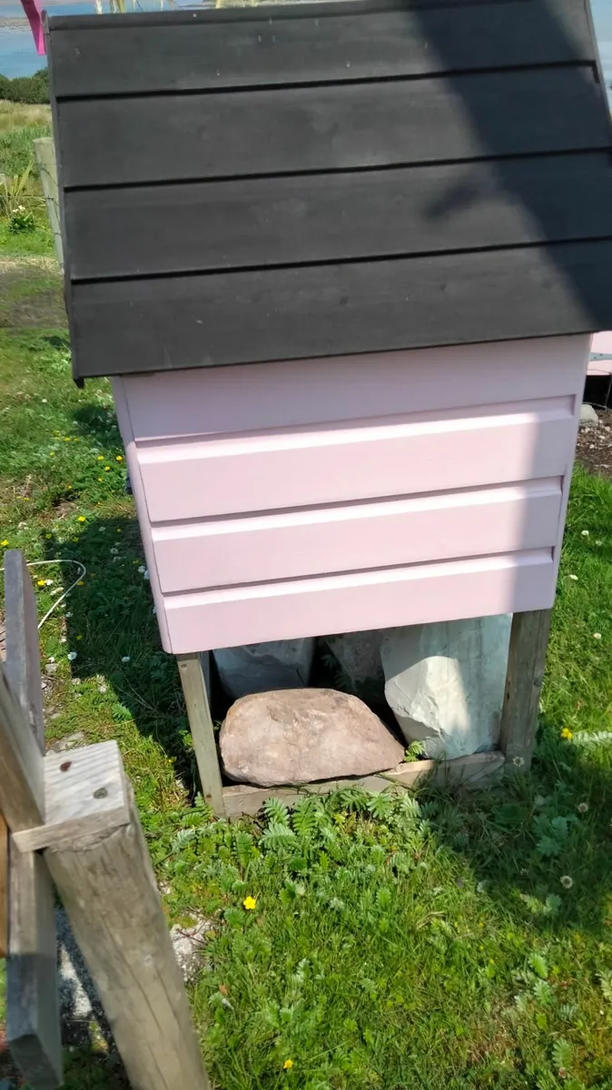 Poultry roadside egg sale house 🏡 - Image 2