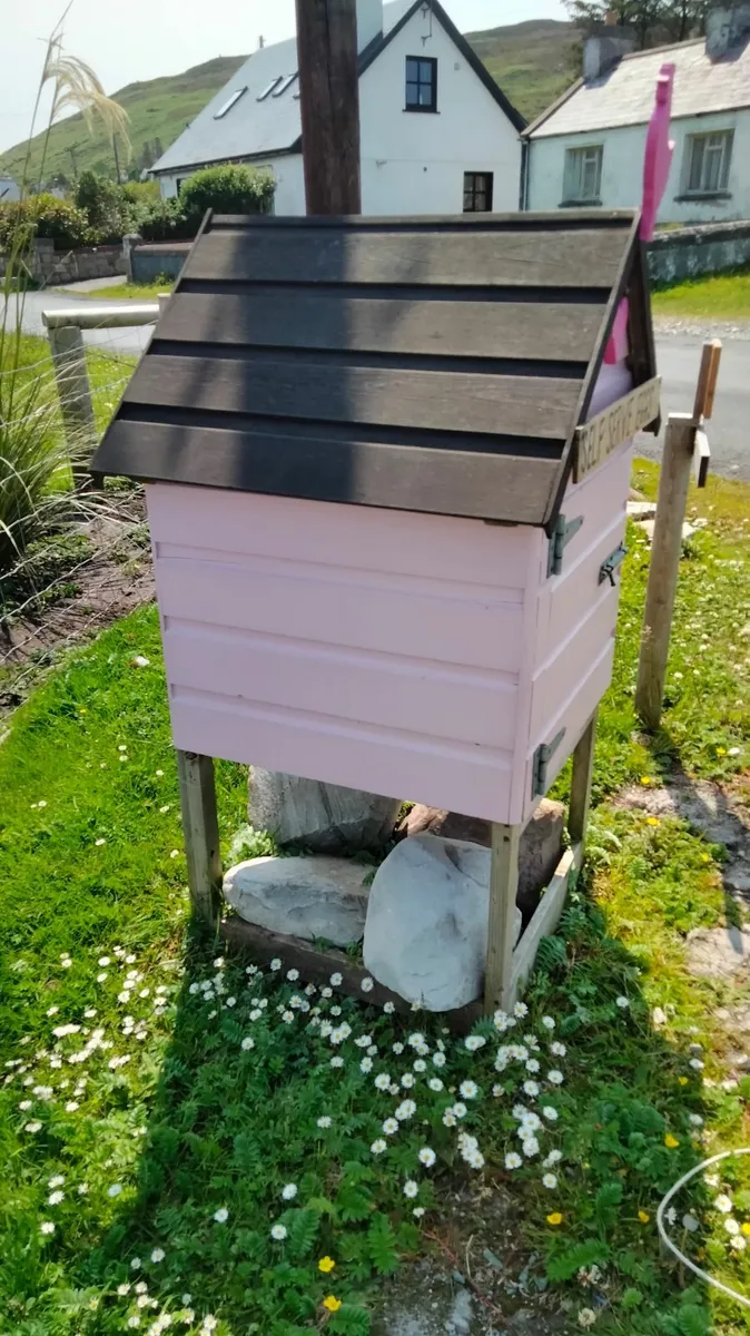 Poultry roadside egg sale house 🏡 - Image 4