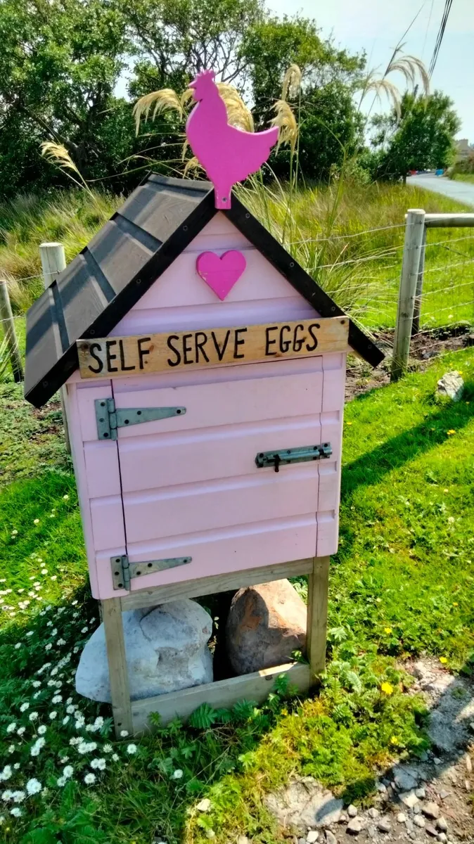 Poultry roadside egg sale house 🏡 - Image 1