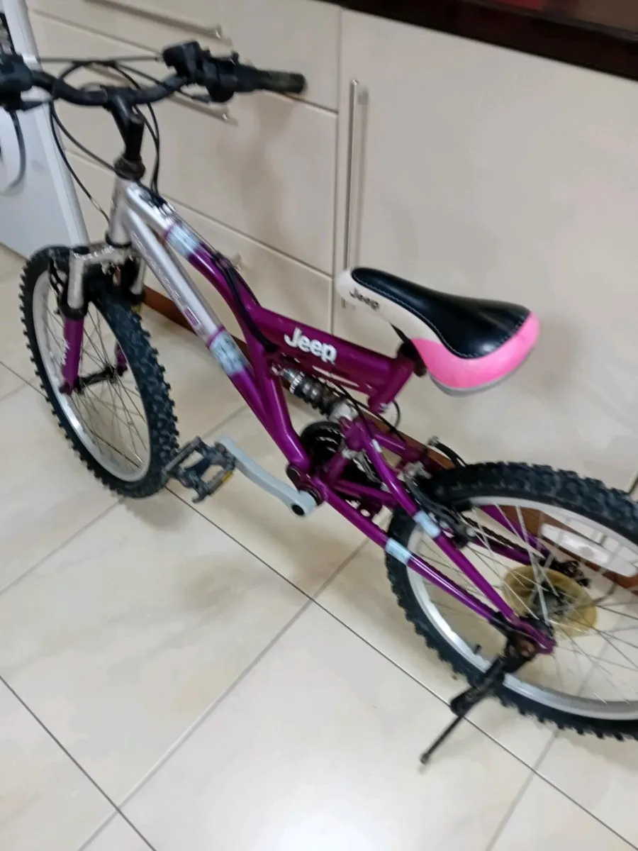 GIRLS BIKE 20 INCH WHEELS - Image 1