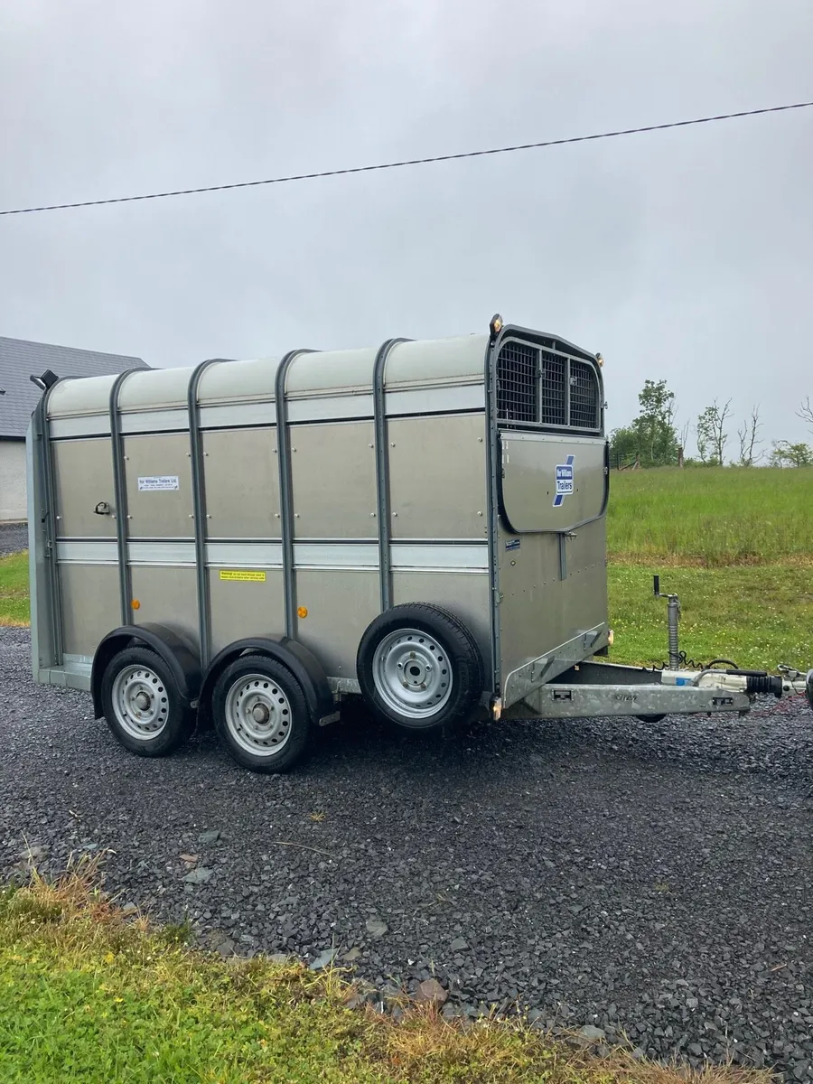 Ifor Williams 10x6 - Image 1