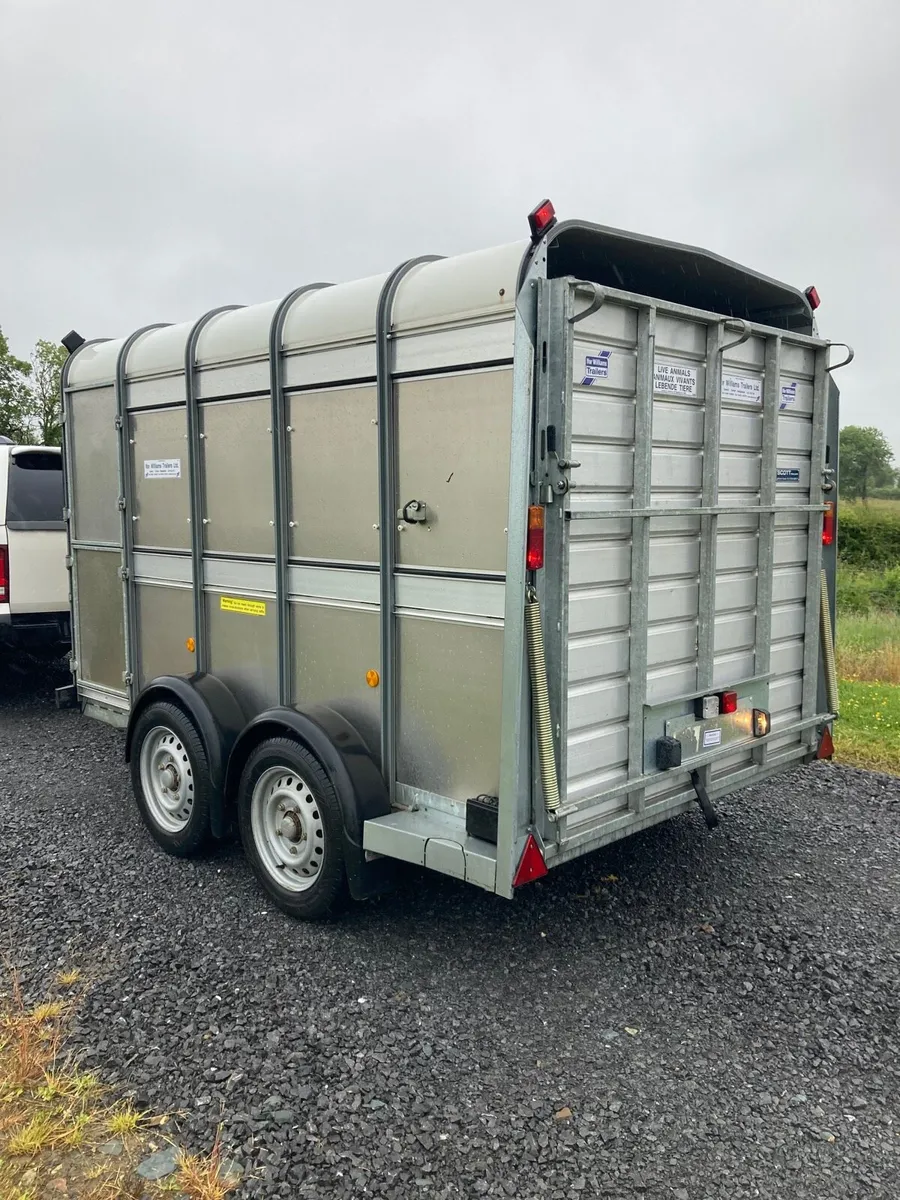 Ifor Williams 10x6 - Image 3