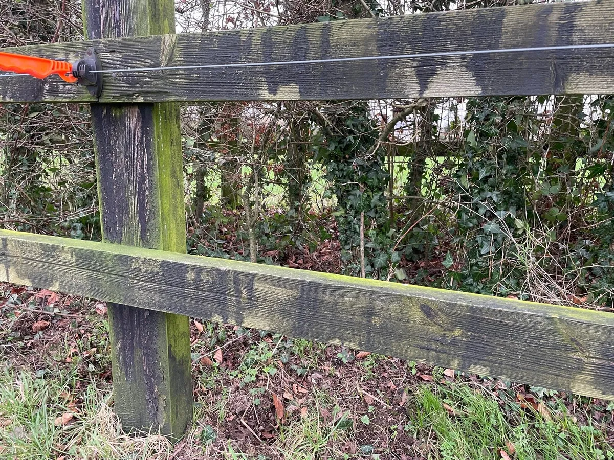 Timber rails - Image 4