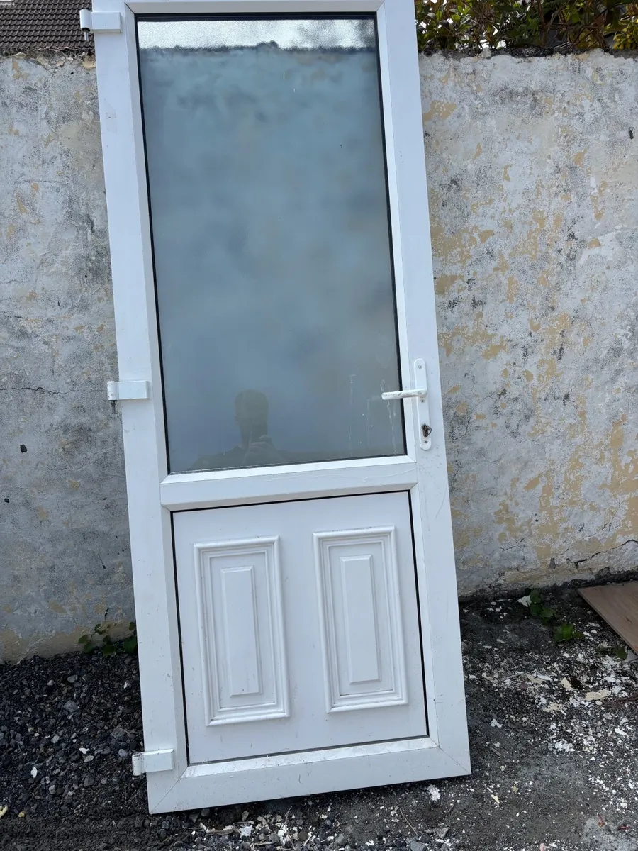 Back door with frame and windows and fireplace - Image 1