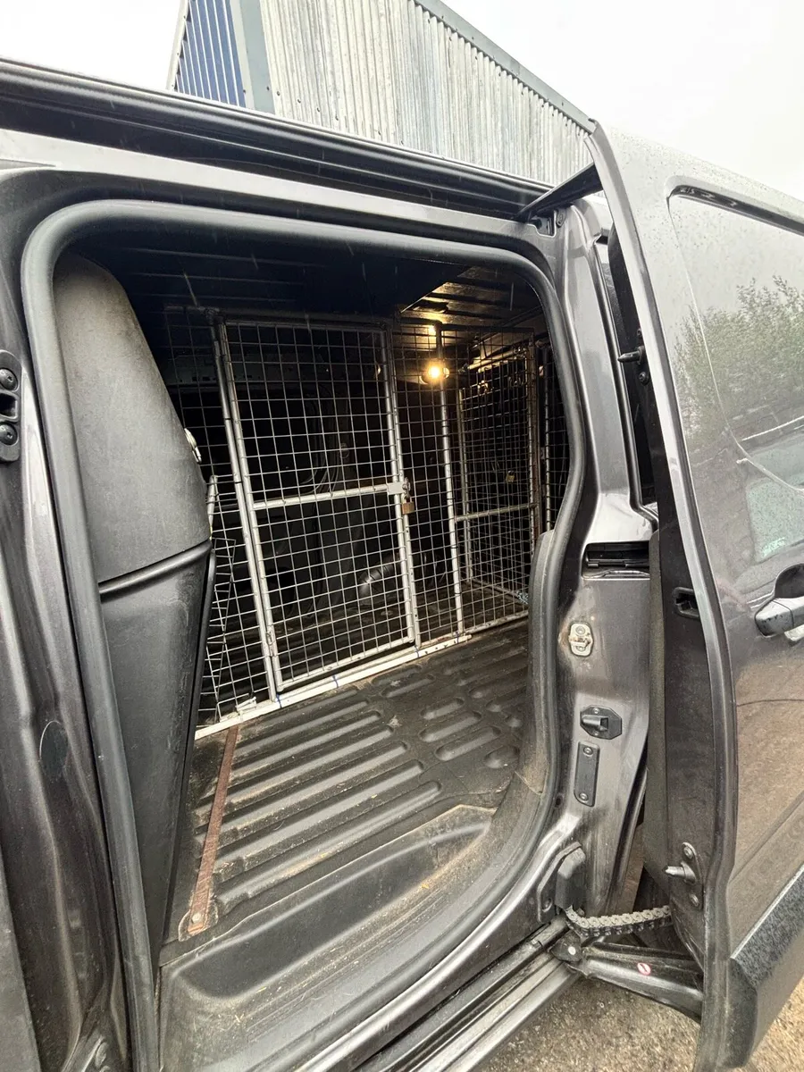Greyhound Cages Citroen Berlingo - Image 2