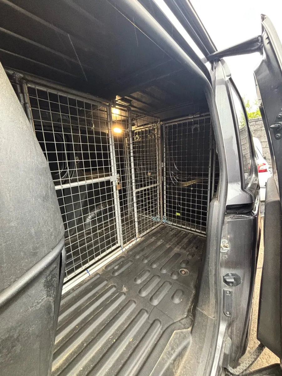 Greyhound Cages Citroen Berlingo - Image 3