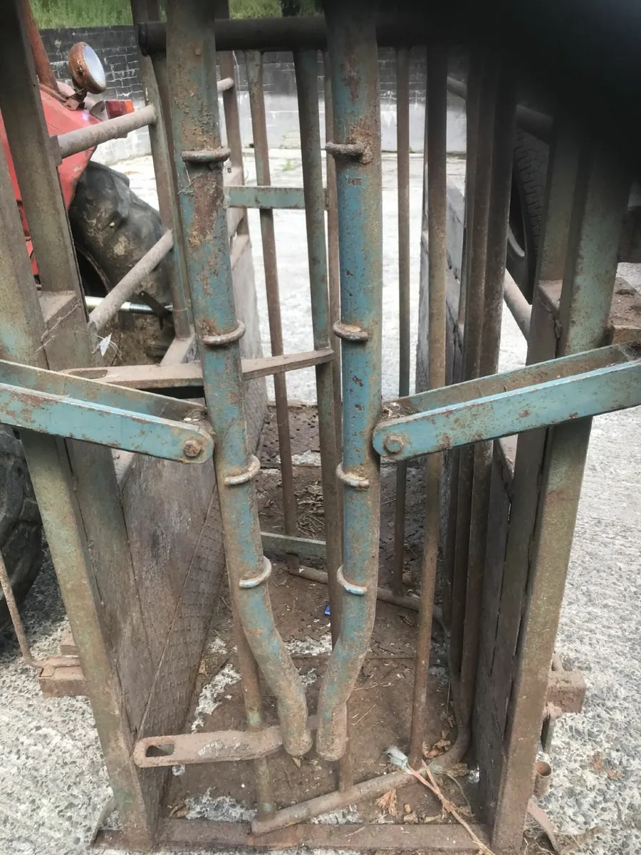 portable cattle crush for sale, unused at moment - Image 4