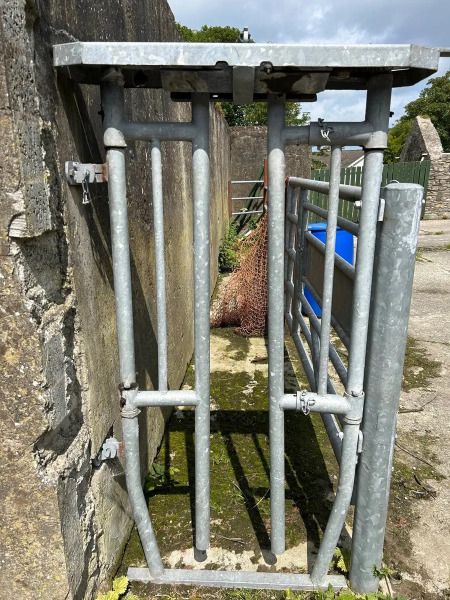 Cattle crush and calving gate - Image 1