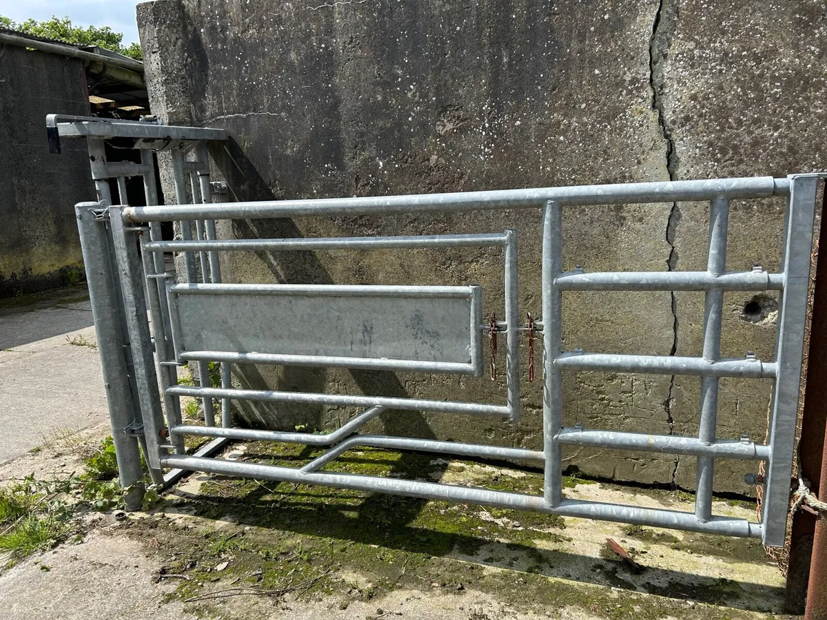 Cattle crush and calving gate - Image 2