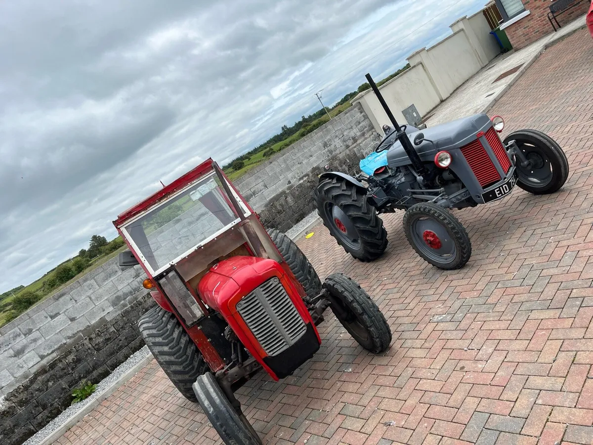 Massy Fergusons for sale - Image 1