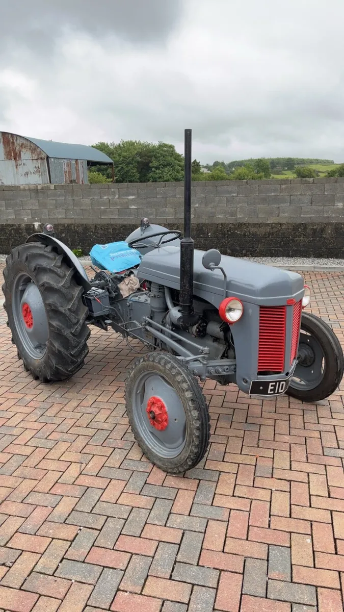 Massy Fergusons for sale - Image 2