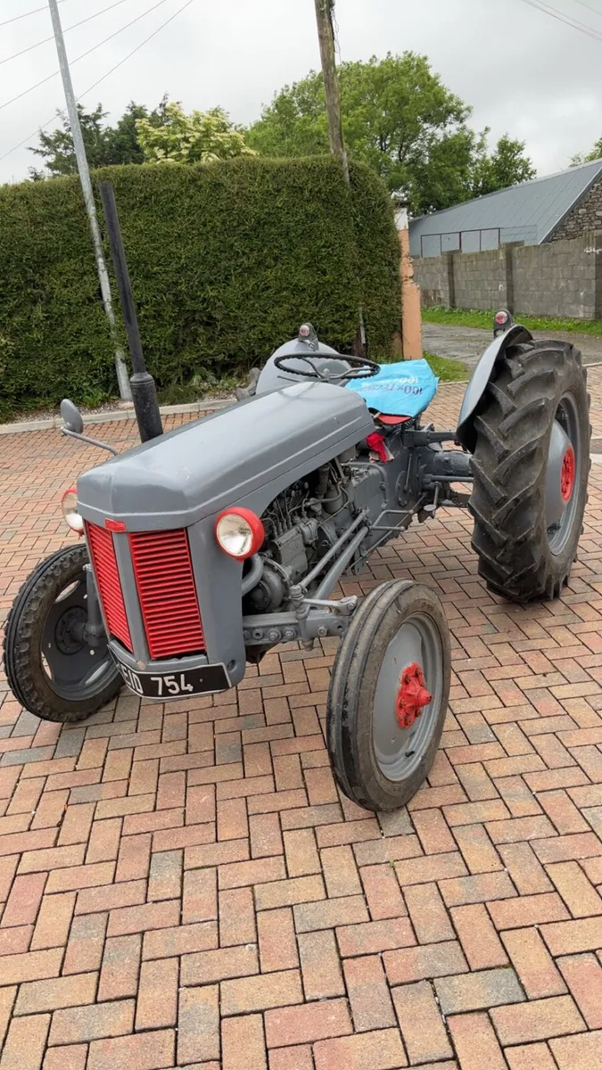 Massy Fergusons for sale - Image 3