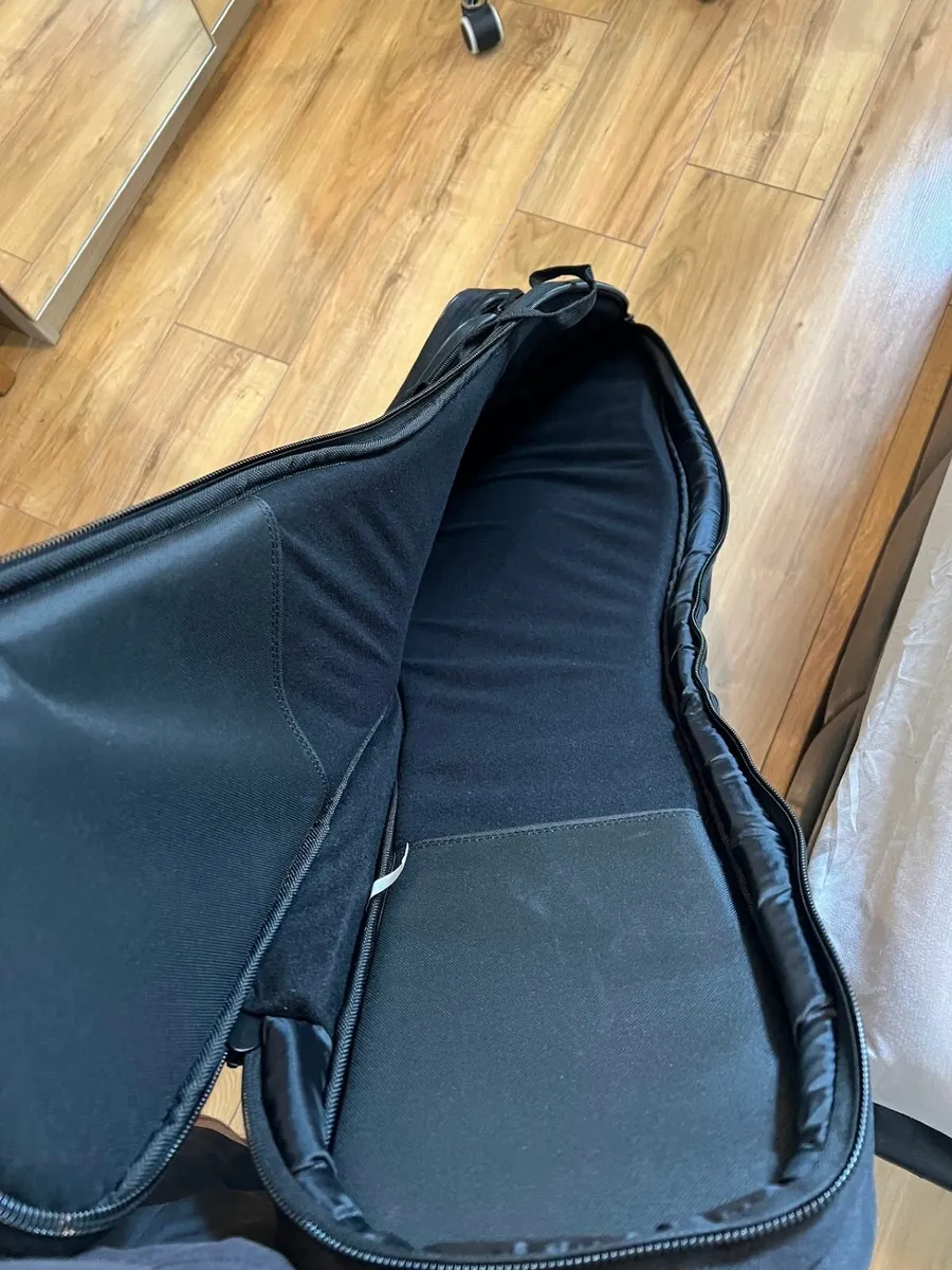 Brian May Guitars Guitar Case - Image 2