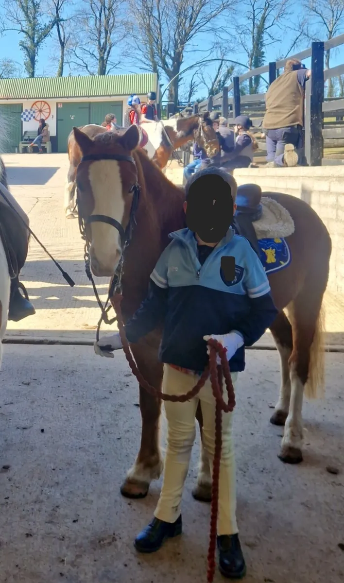Lead Rein/ FR pony - Image 3