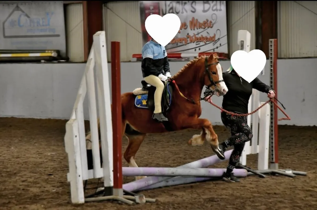 Lead Rein/ FR pony - Image 4