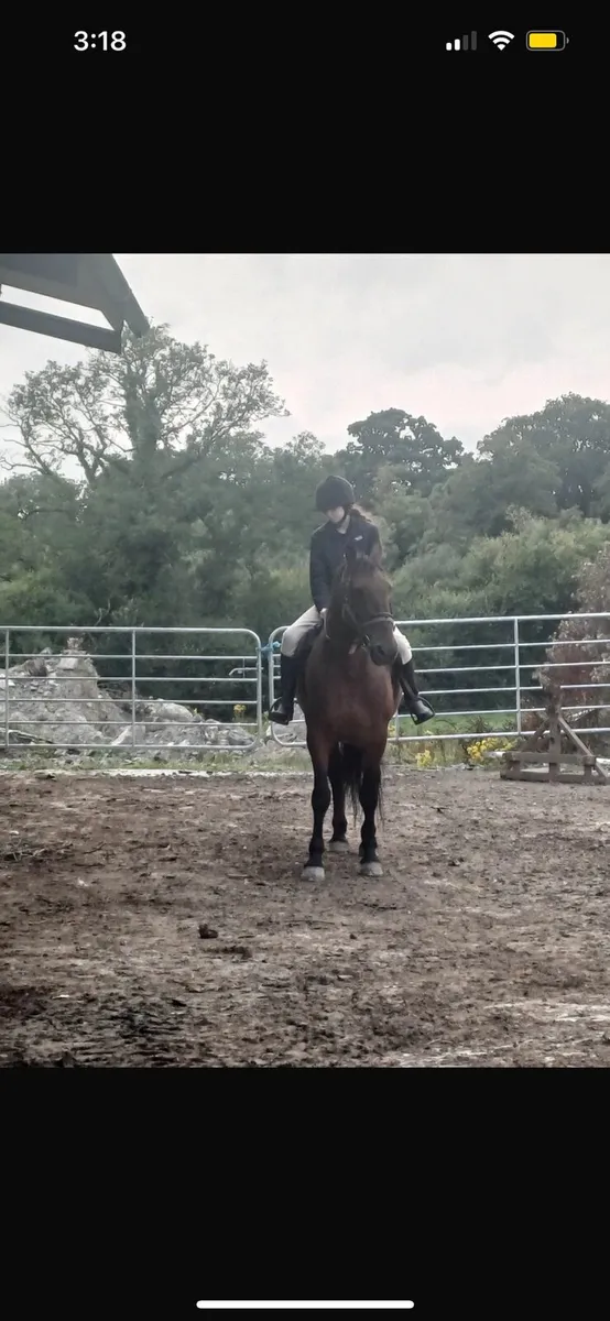 Beginners pony - Image 3