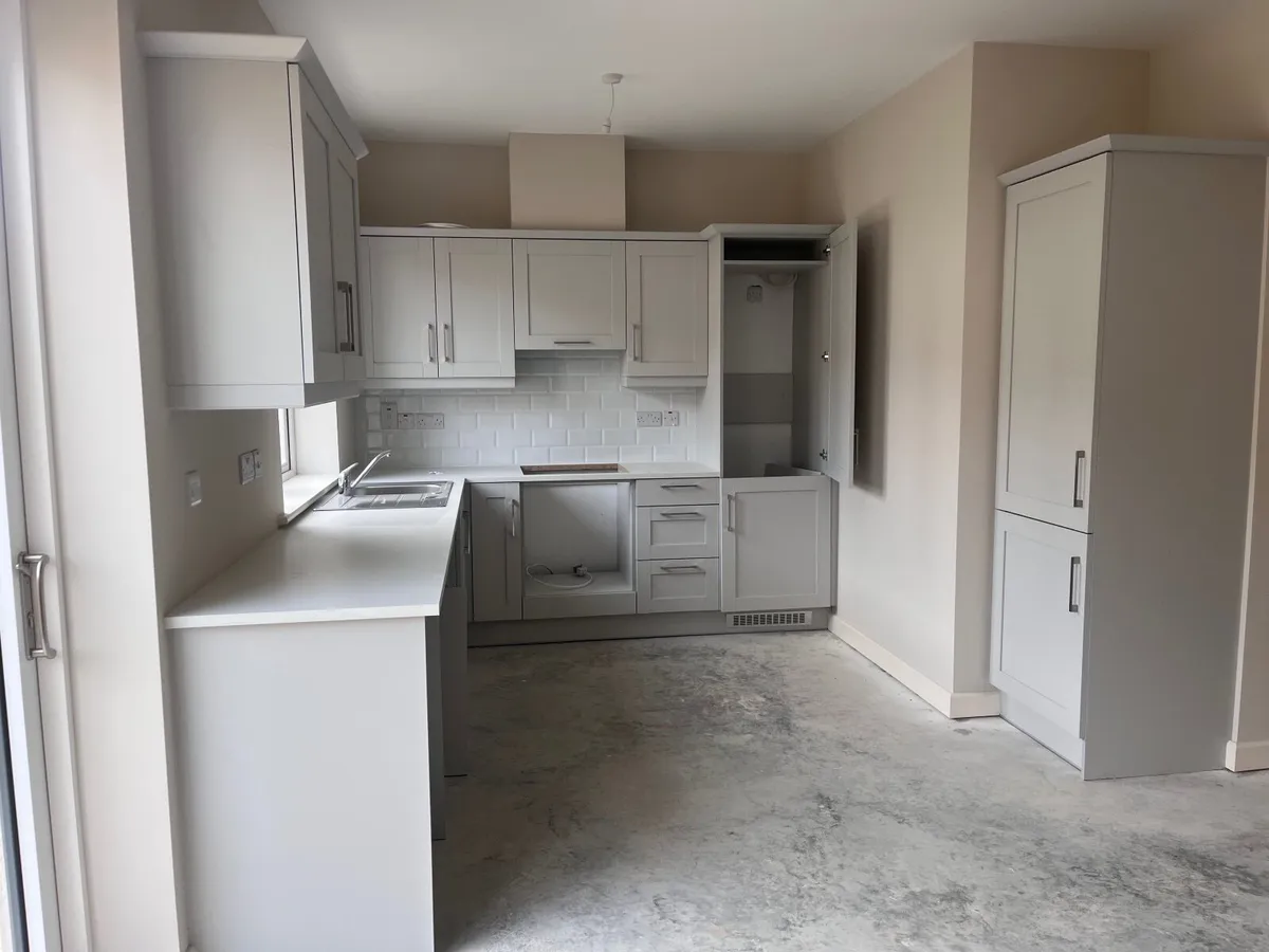 Kitchen cabinets and exhaust - Image 1