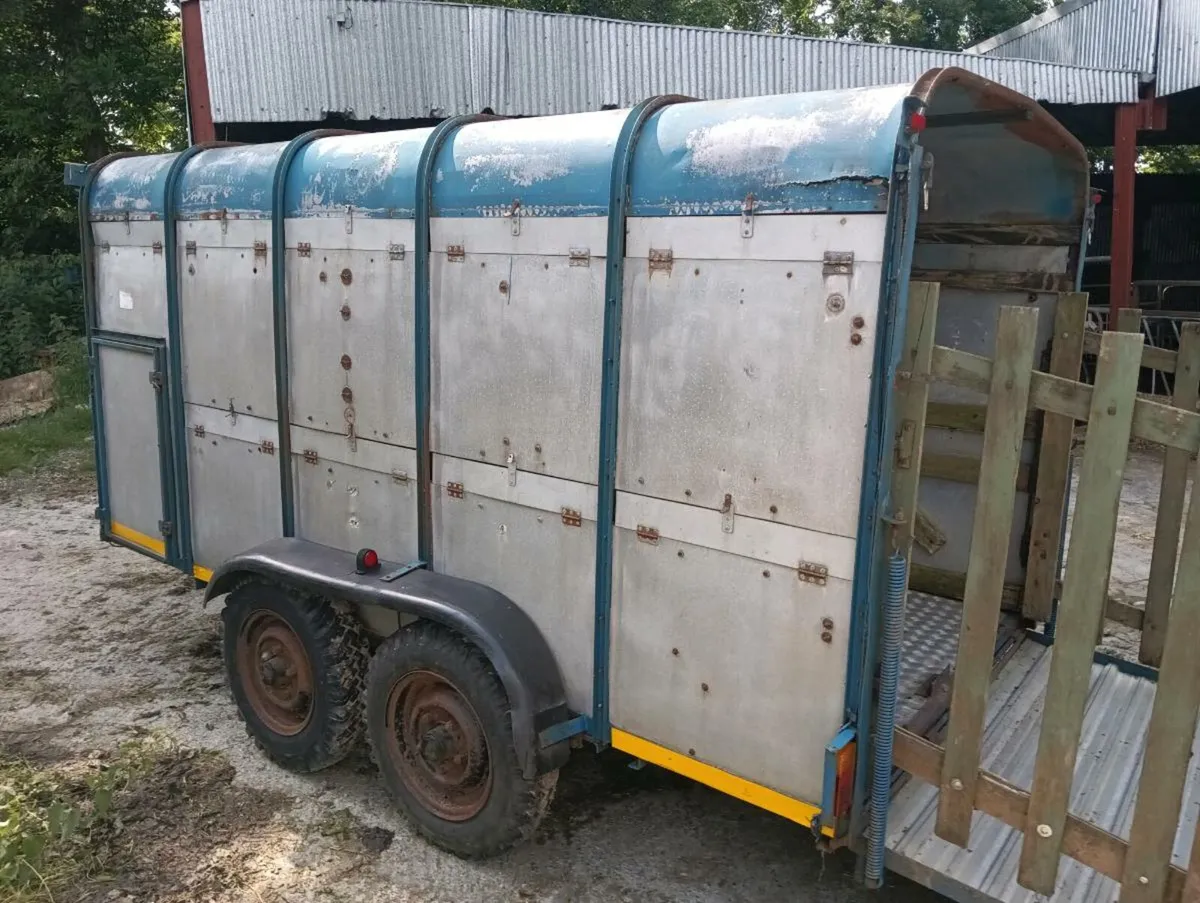 Cattle trailer - Image 2