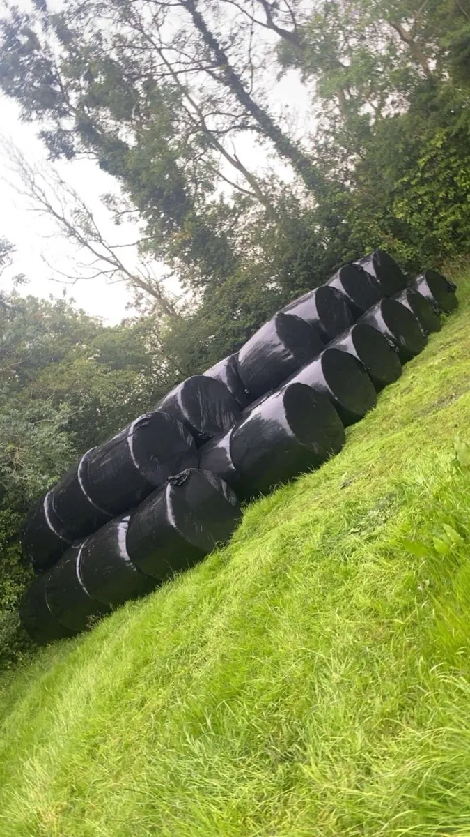 Silage bales