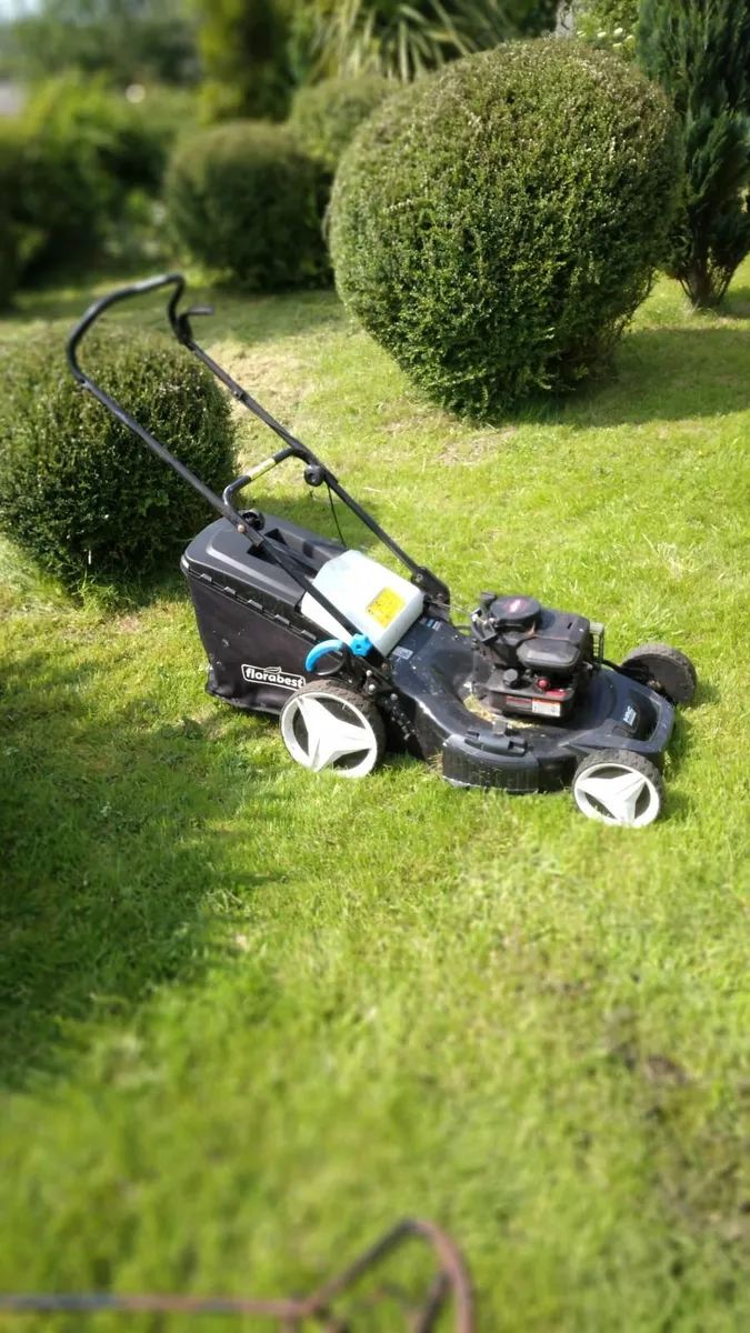 lawnmower - Image 1