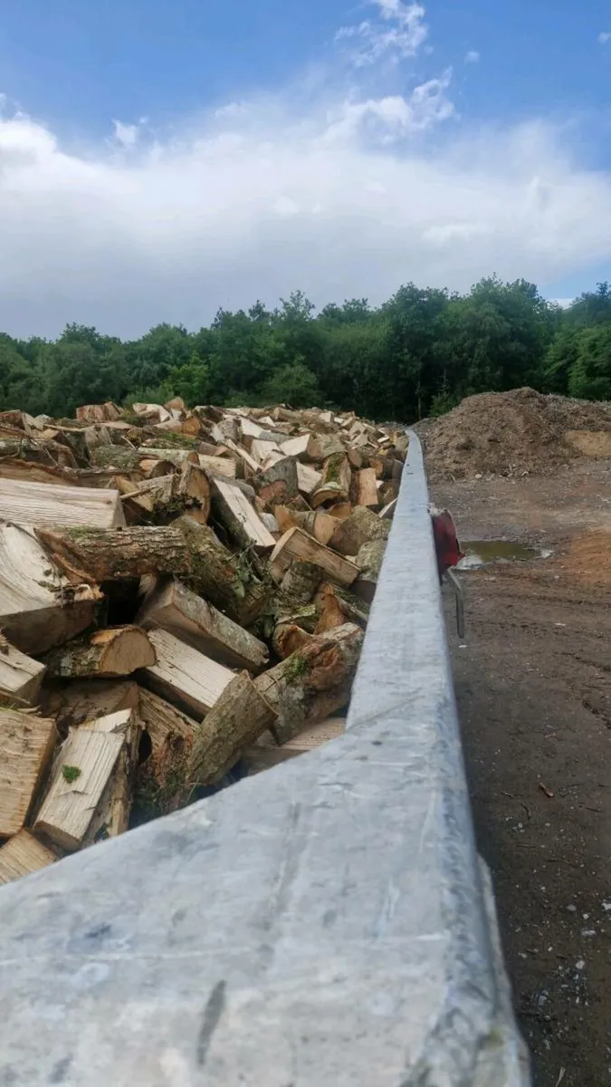 Hardwood timber - Image 1