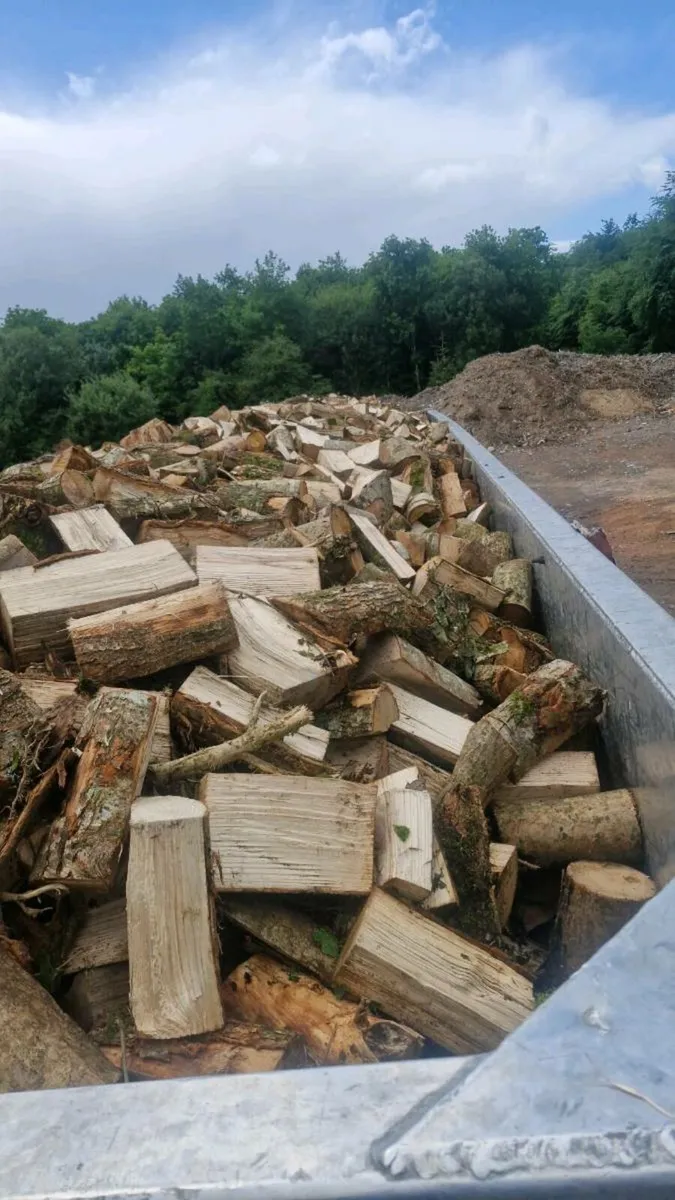 Hardwood timber - Image 2