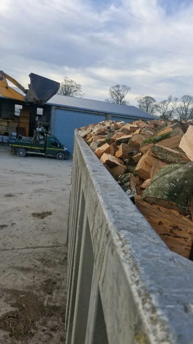 Hardwood timber - Image 4