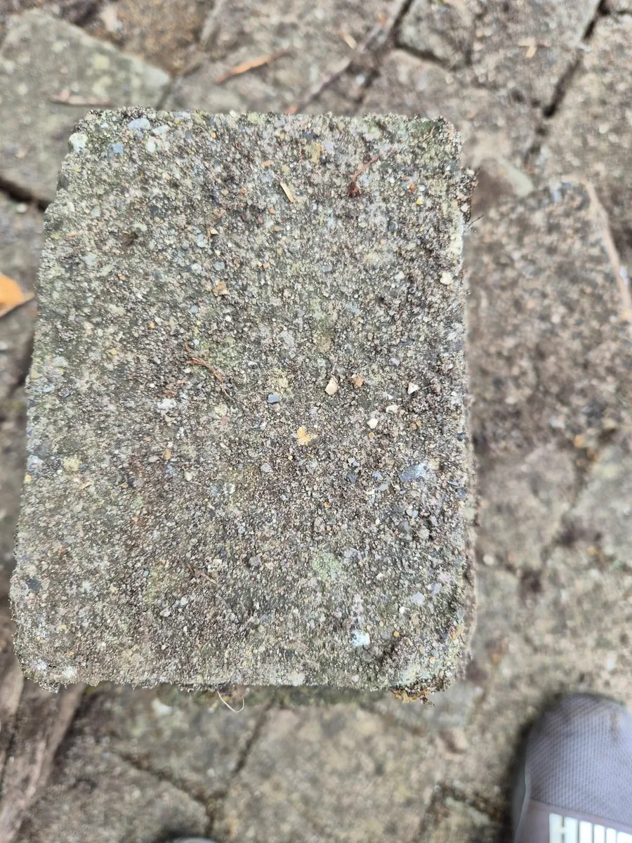 Patio bricks - Image 1