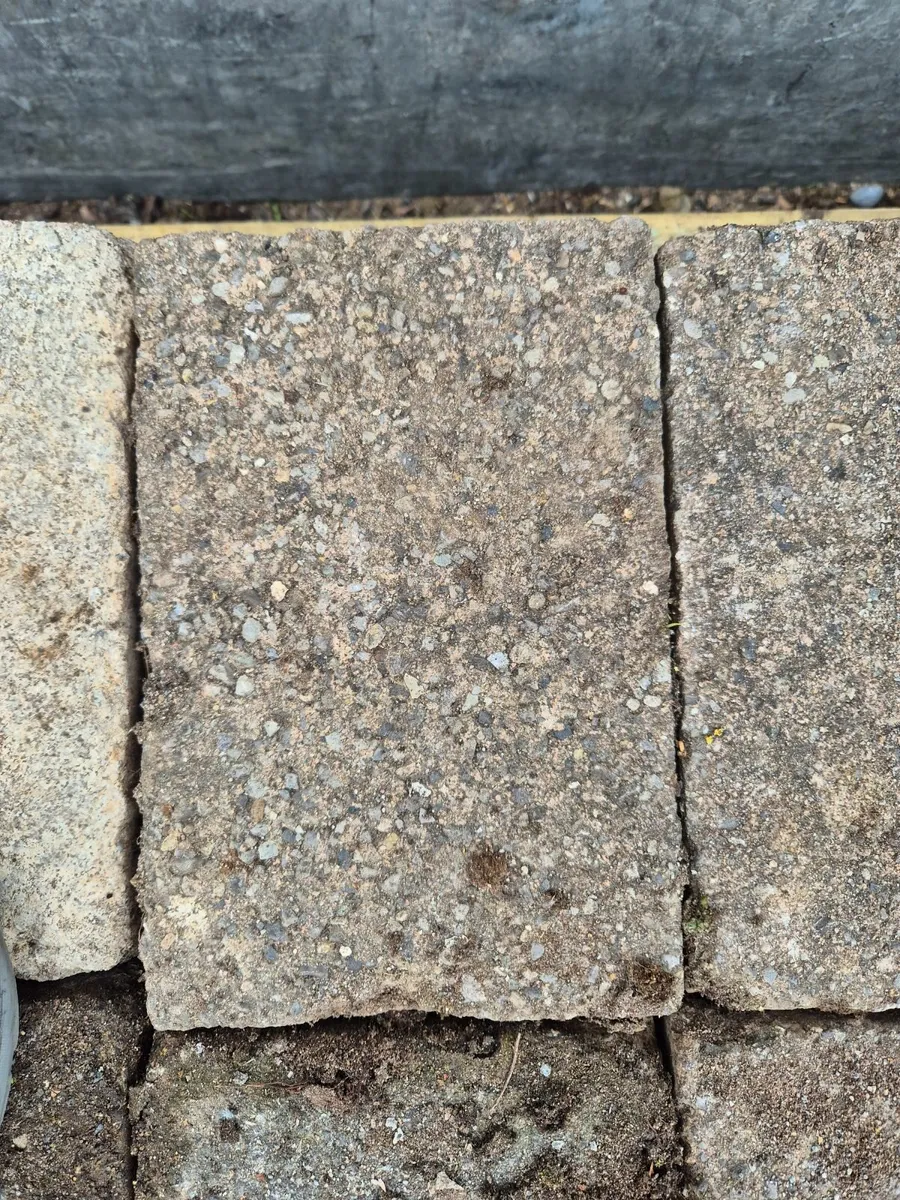 Patio bricks - Image 2