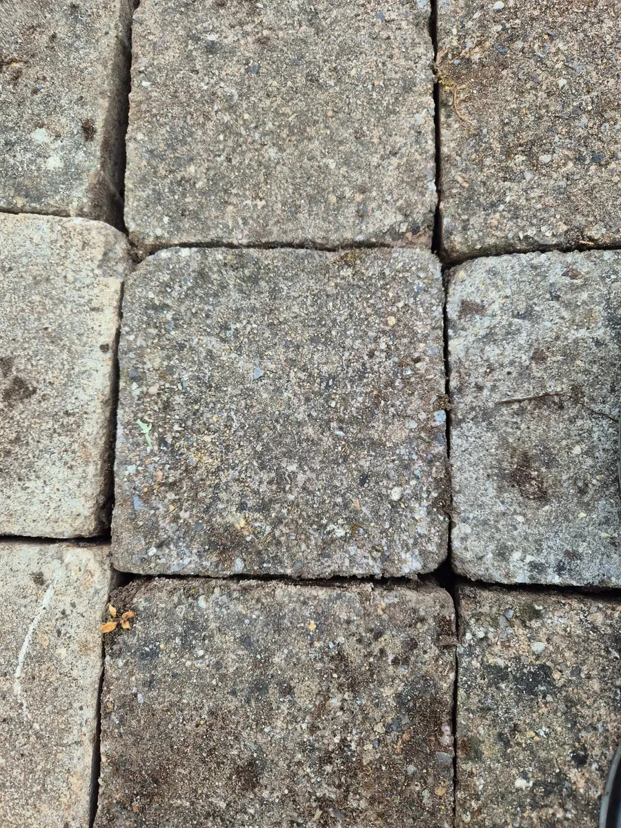 Patio bricks - Image 3