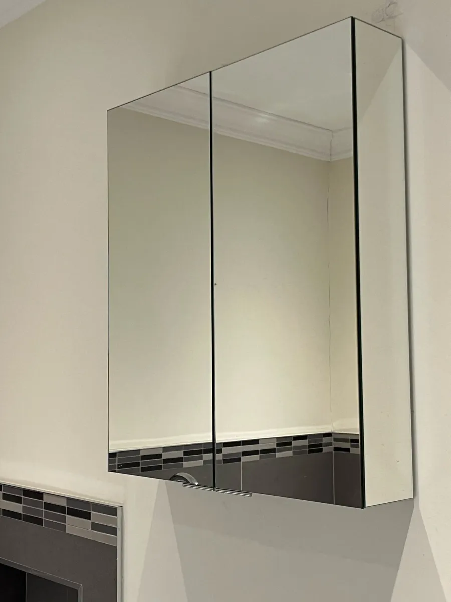 Bathroom Mirror Cabinet - Image 1