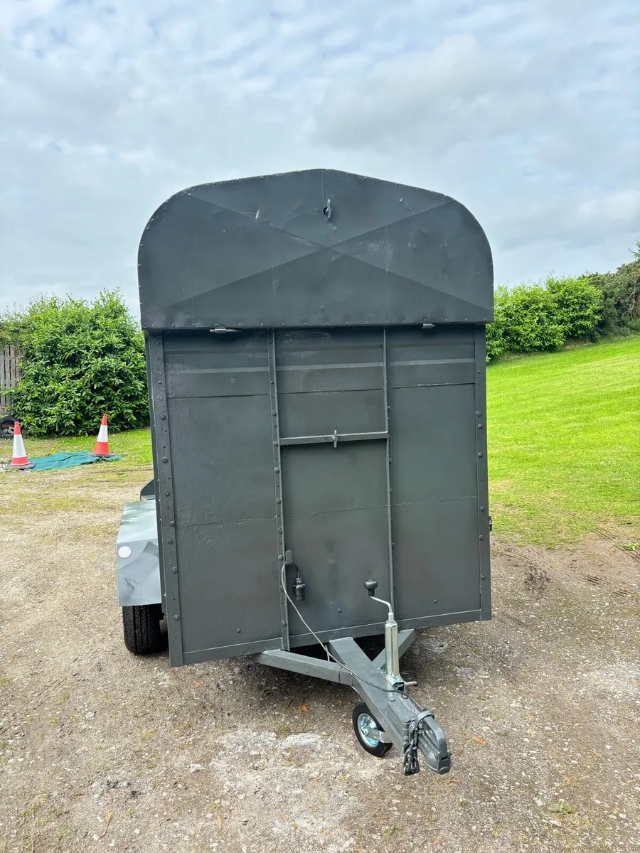 All Purpose Cow Box - Image 3