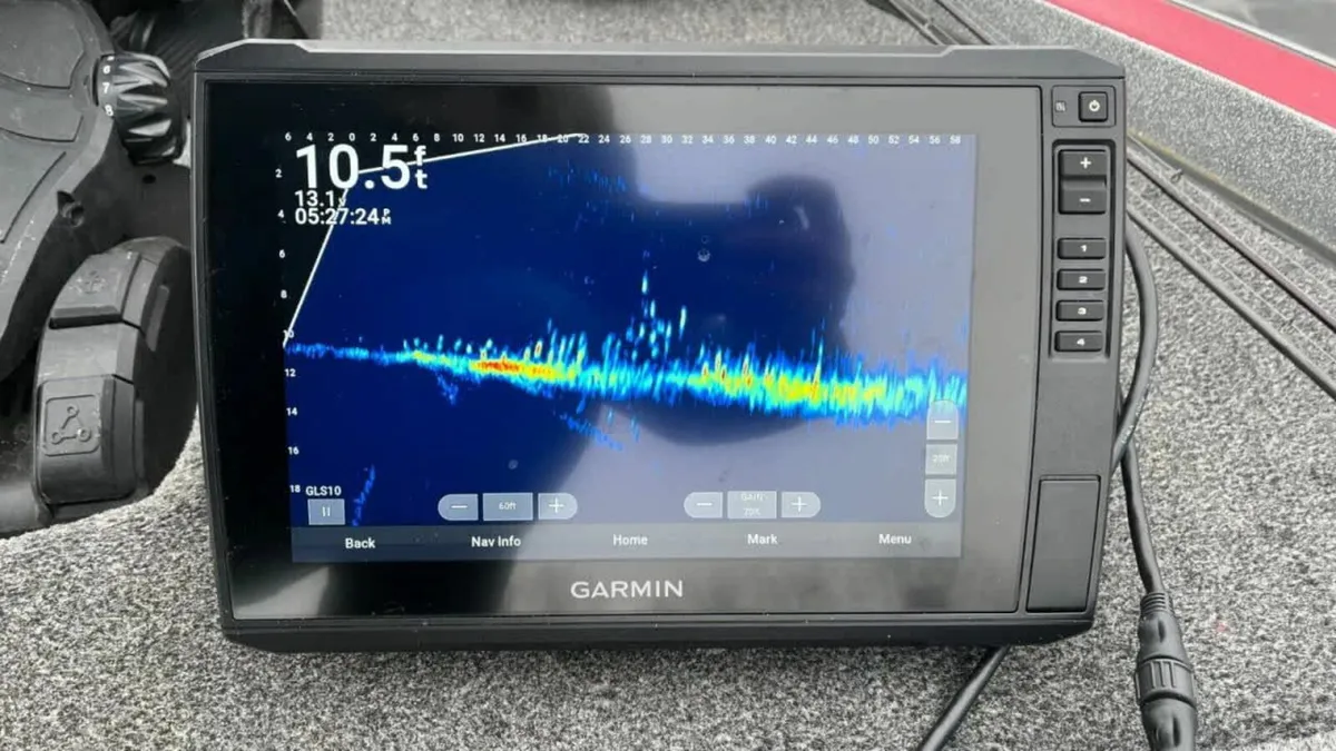 LiveScope - Image 1