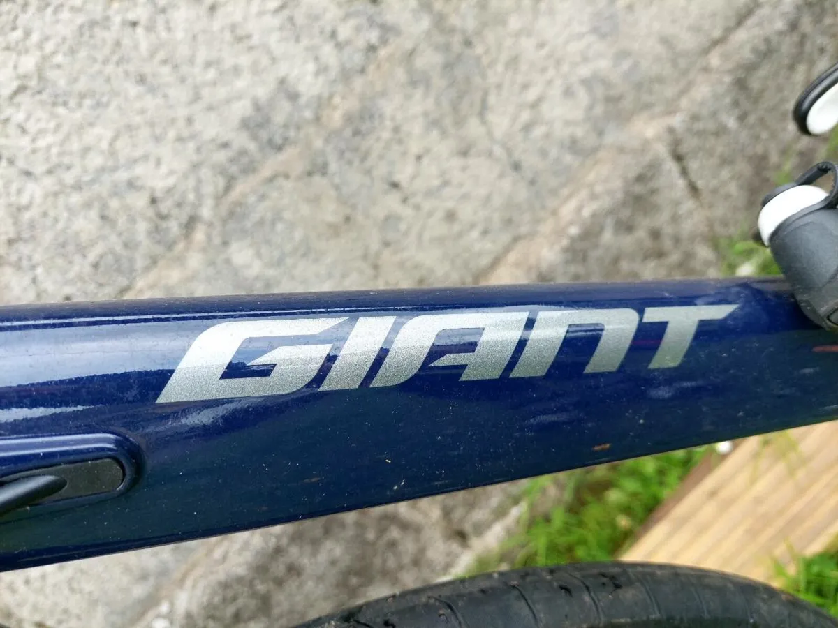 Bike - Image 2
