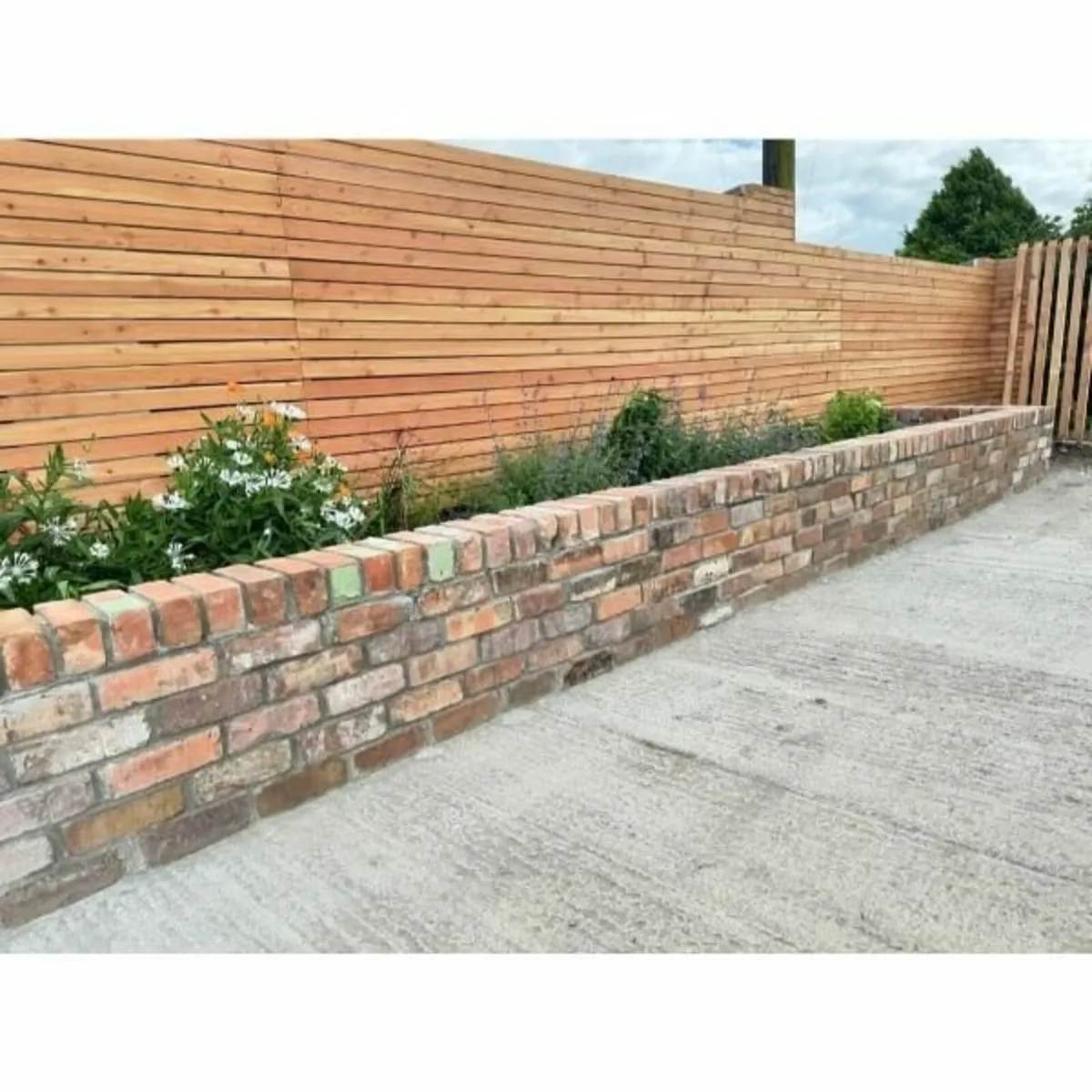 Salvaged Multi-Coloured Bricks - Image 1