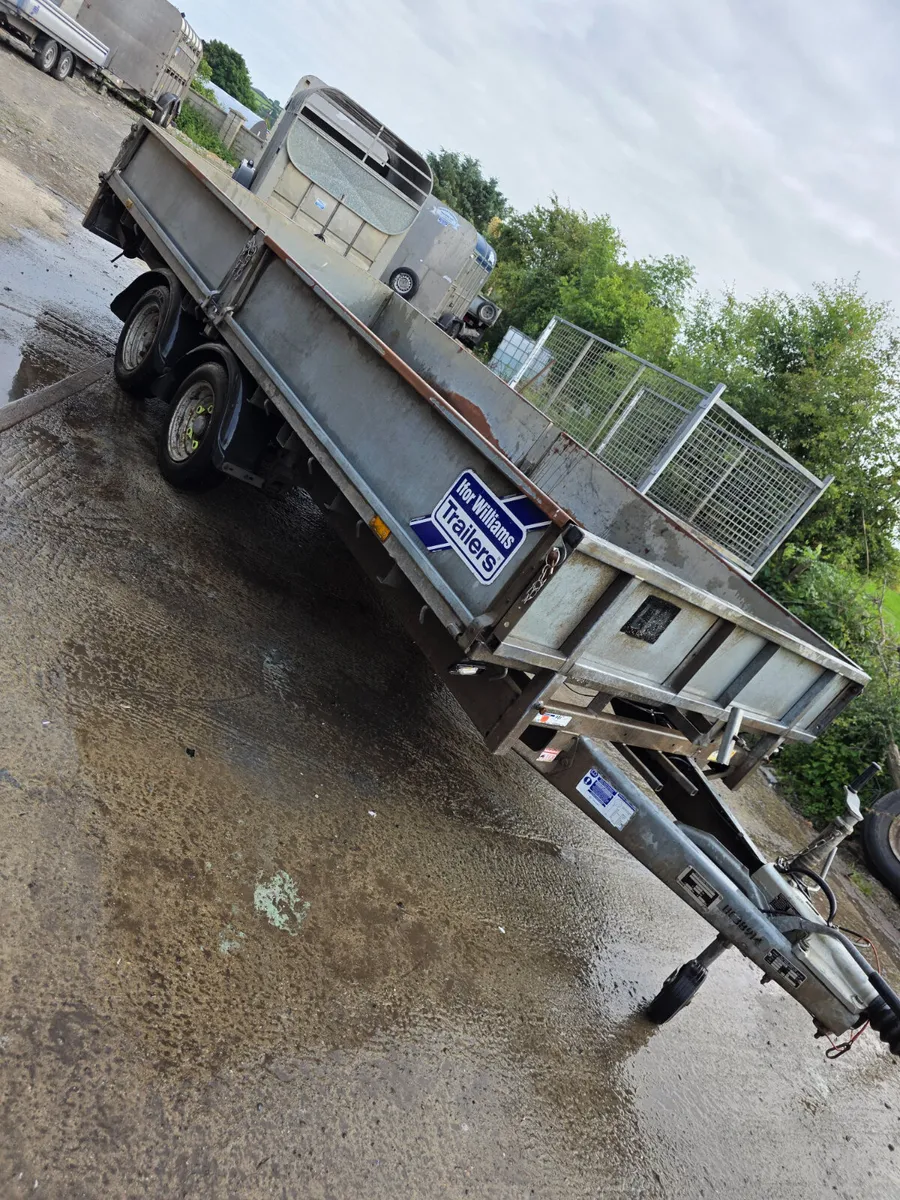 14ft ifor Williams dropside - Image 1