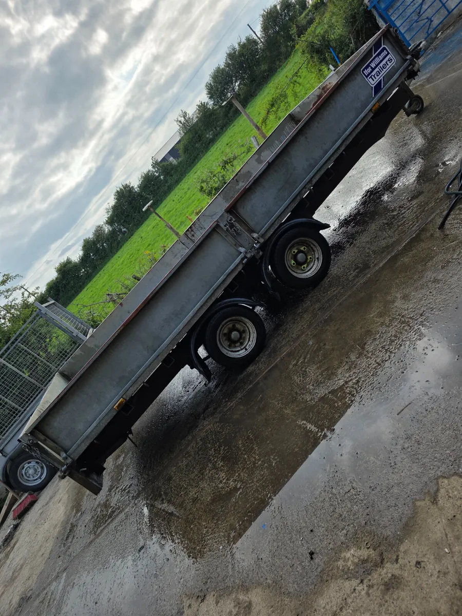 14ft ifor Williams dropside - Image 3
