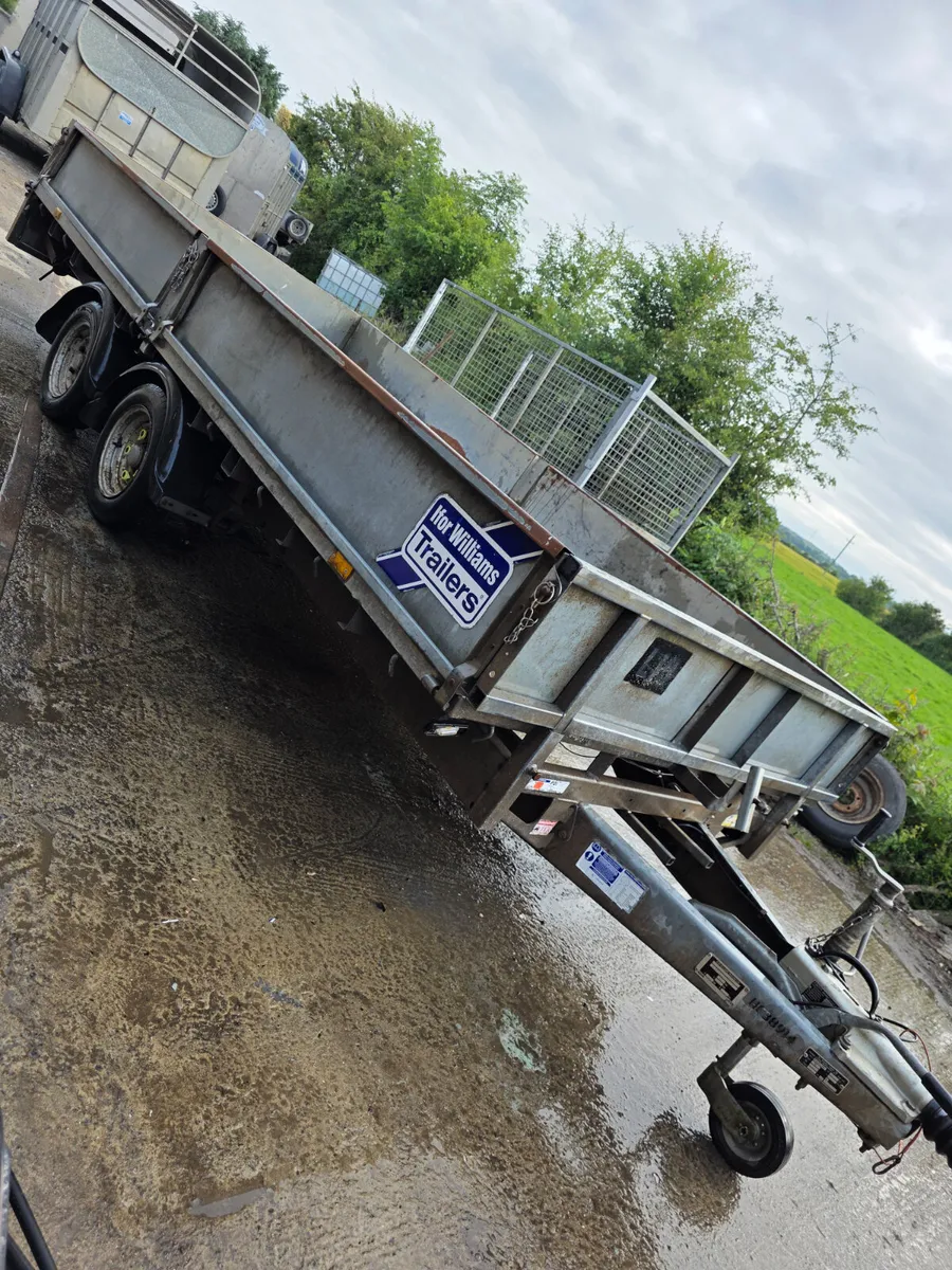 14ft ifor Williams dropside - Image 2