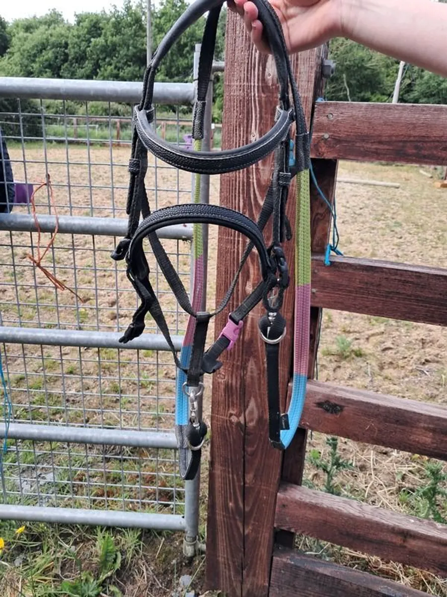Pony tack - Image 2