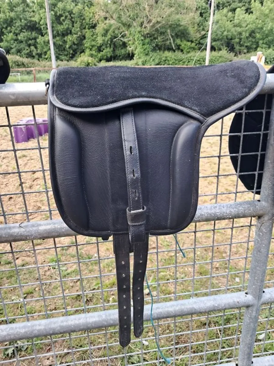 Pony tack - Image 3