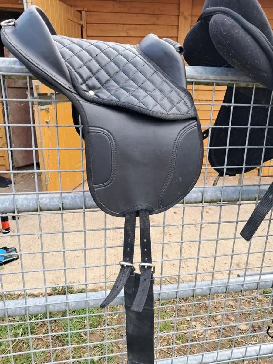 Pony tack - Image 4