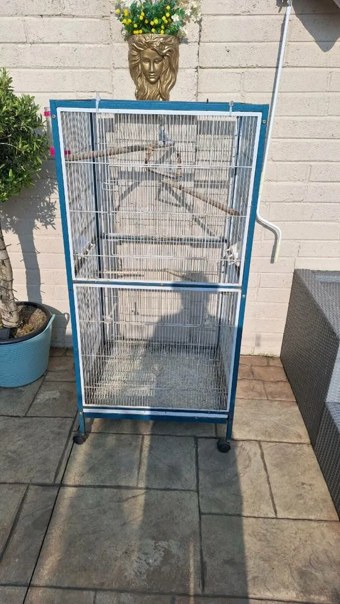 Cage - Image 3