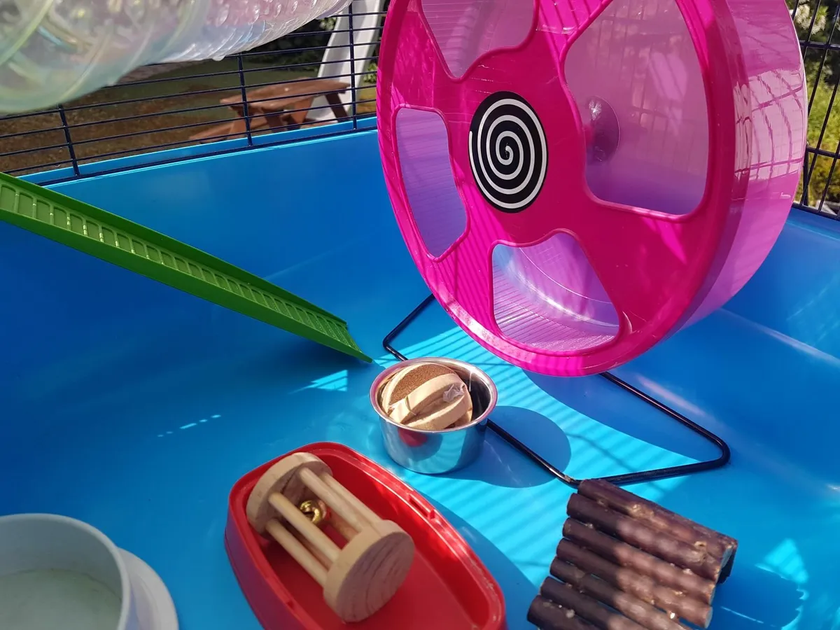 Hamster Cage & Accessories - Image 2